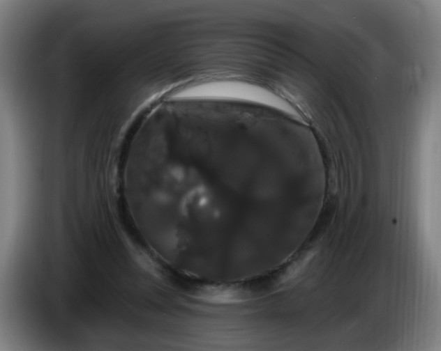 X0000086730351200704201650