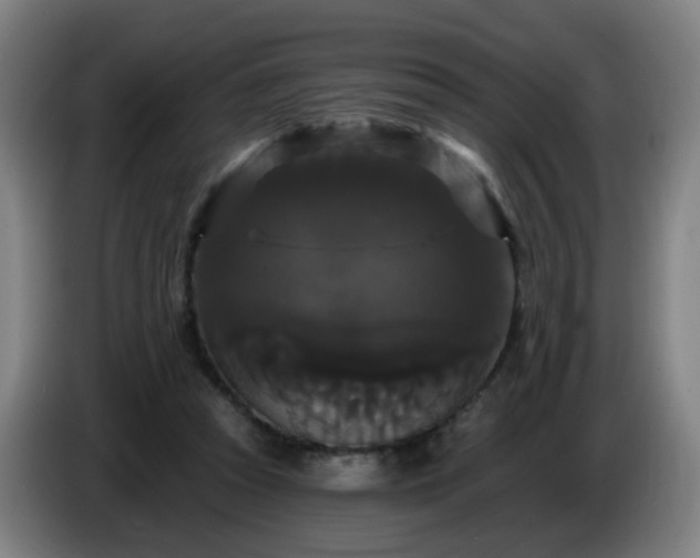 X0000086730353200704201650