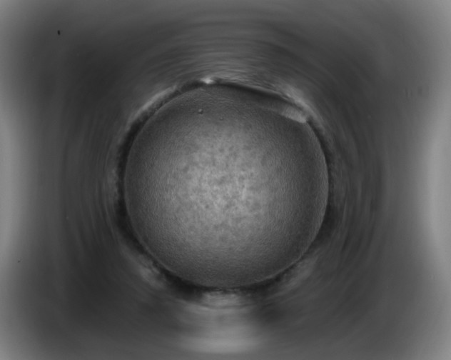 X0000086730354200704201650