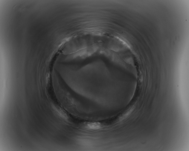 X0000086730355200704201650