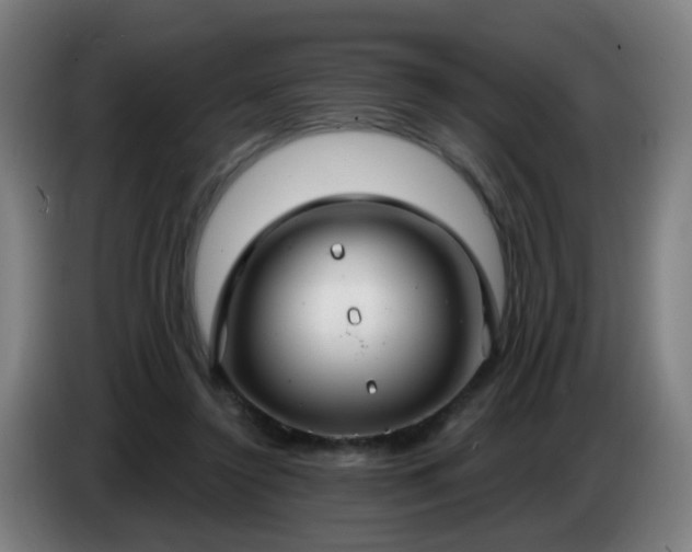 X0000086730356200704201650