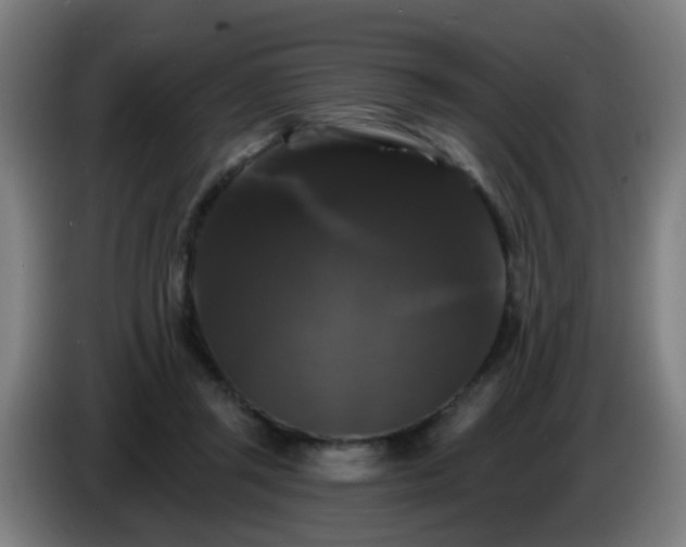 X0000086730357200704201650