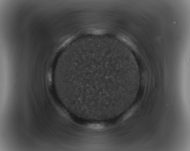 X0000086730358200704201651