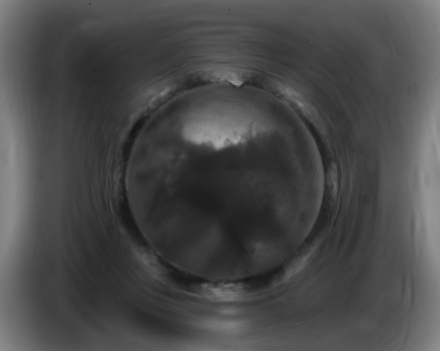 X0000086730359200704201651