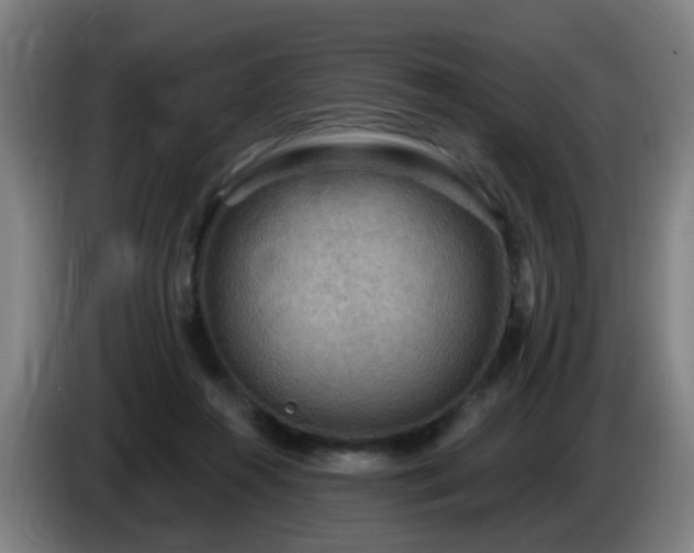 X0000086730360200704201651