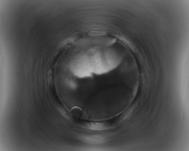 X0000086730361200704201651