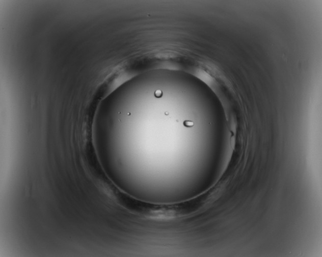 X0000086730362200704201651