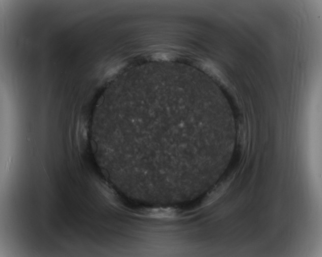 X0000086730363200704201651