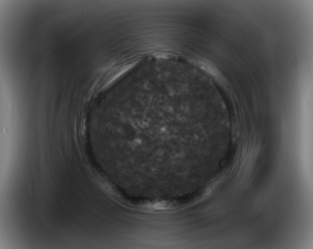 X0000086730365200704201651