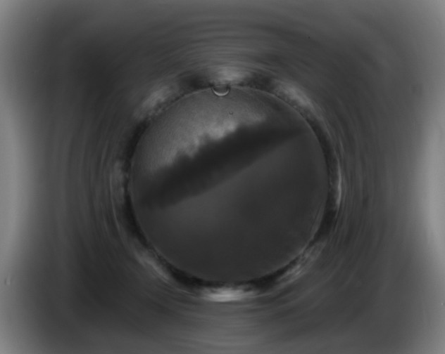 X0000086730366200704201651