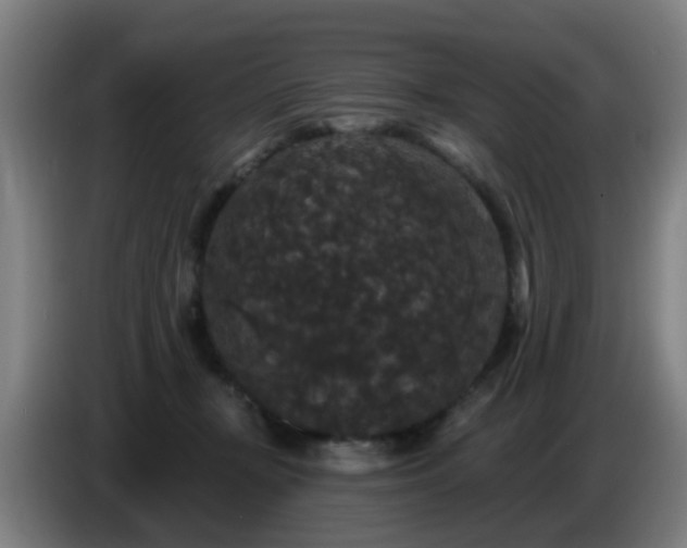 X0000086730367200704201651