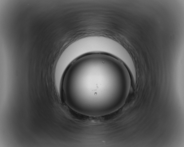 X0000086730368200704201651