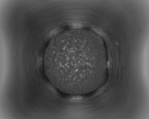 X0000086730369200704201651