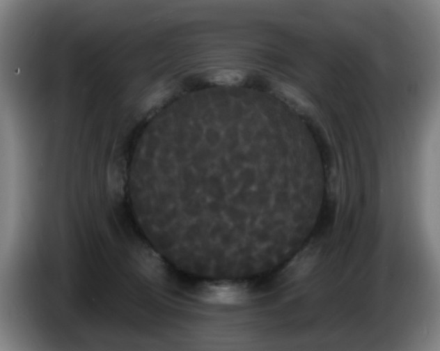 X0000086730370200704201651