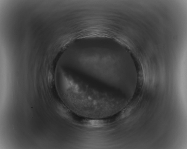 X0000086730371200704201651