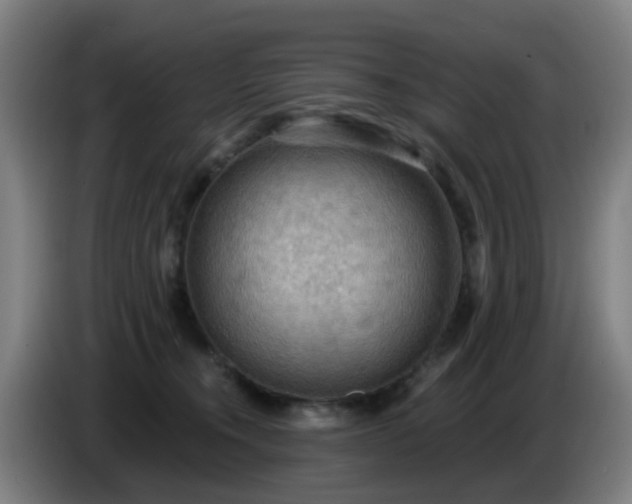 X0000086730372200704201651