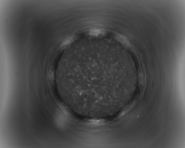 X0000086730375200704201651