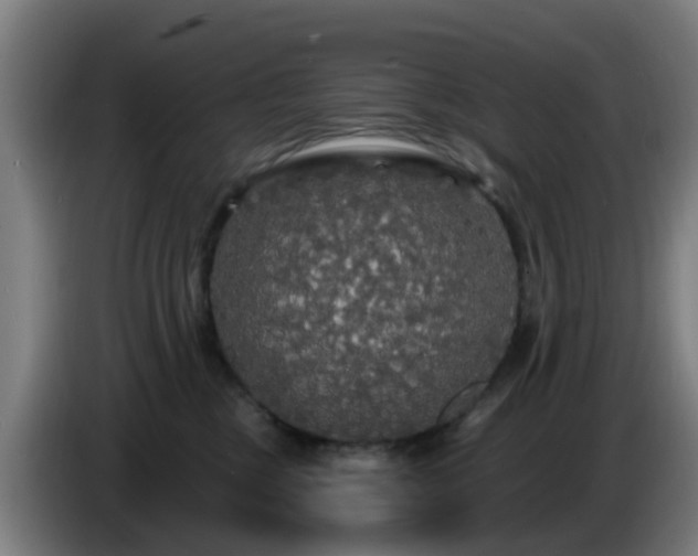 X0000086730377200704201651