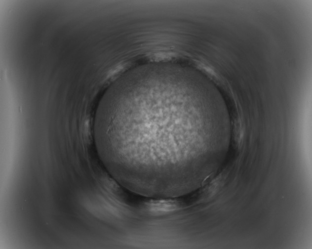 X0000086730378200704201651