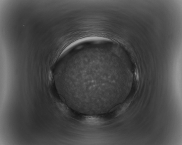 X0000086730380200704201651