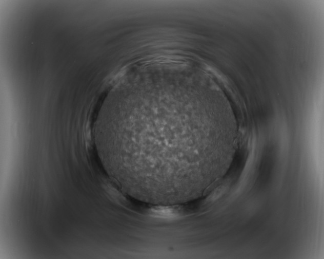 X0000086730381200704201651