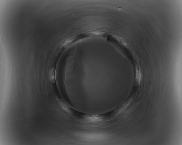 X0000086730383200704201651