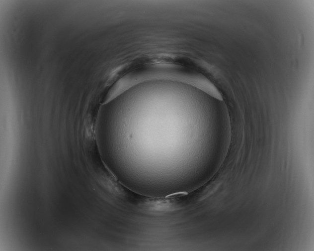 X0000086730384200704201651