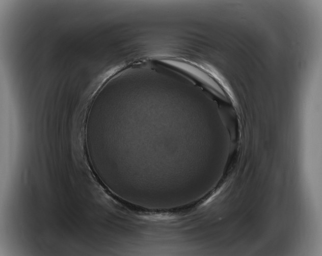 X0000086730385200704201650