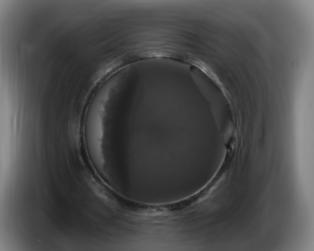 X0000086730386200704201650