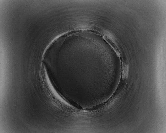 X0000086730387200704201650