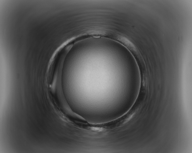 X0000086730388200704201650