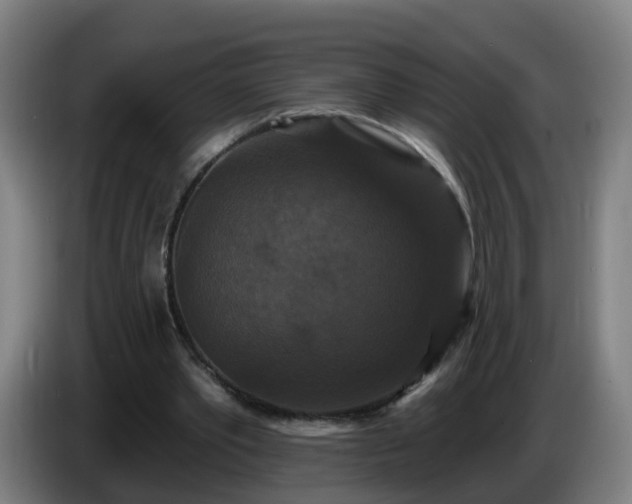 X0000086730389200704201650