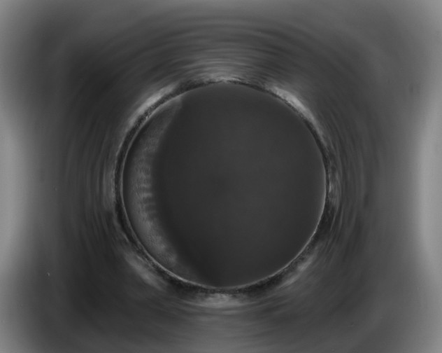 X0000086730390200704201650