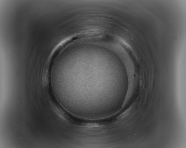 X0000086730392200704201650