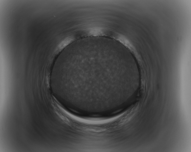 X0000086730393200704201650