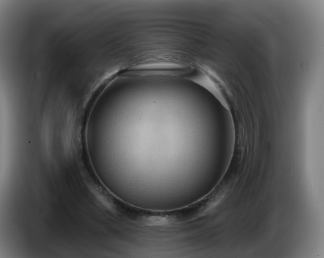 X0000086730394200704201650