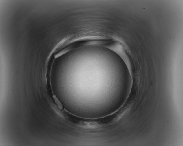 X0000086730395200704201650