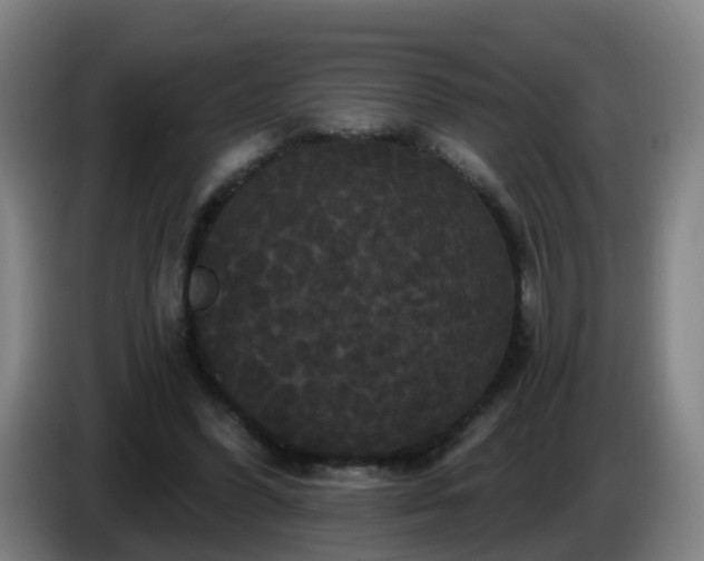 X0000086730396200704201650