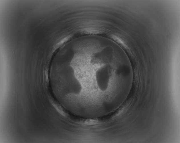 X0000086730398200704201650