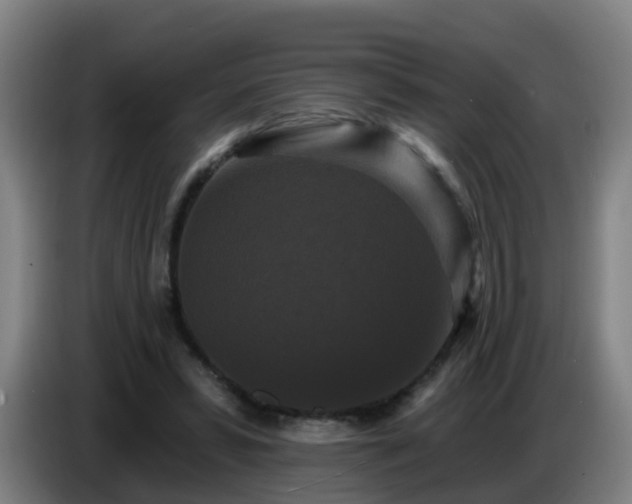 X0000086730399200704201650