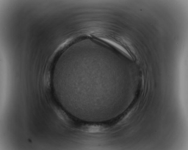 X0000086730400200704201650