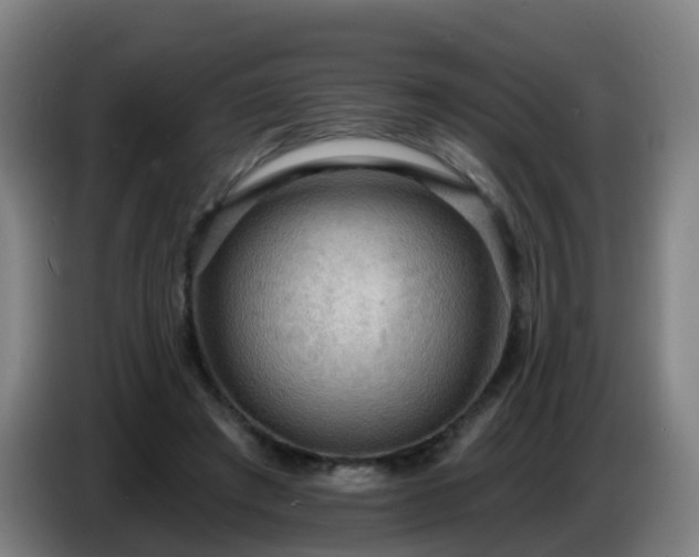 X0000086730401200704201650