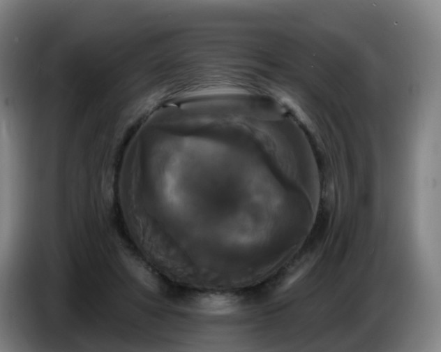 X0000086730402200704201650