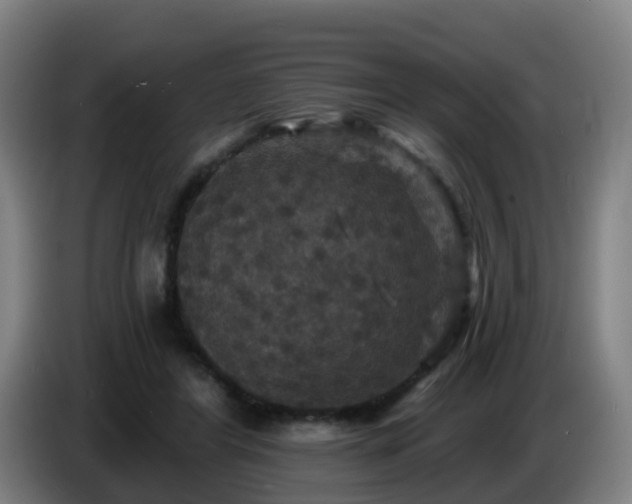 X0000086730404200704201650