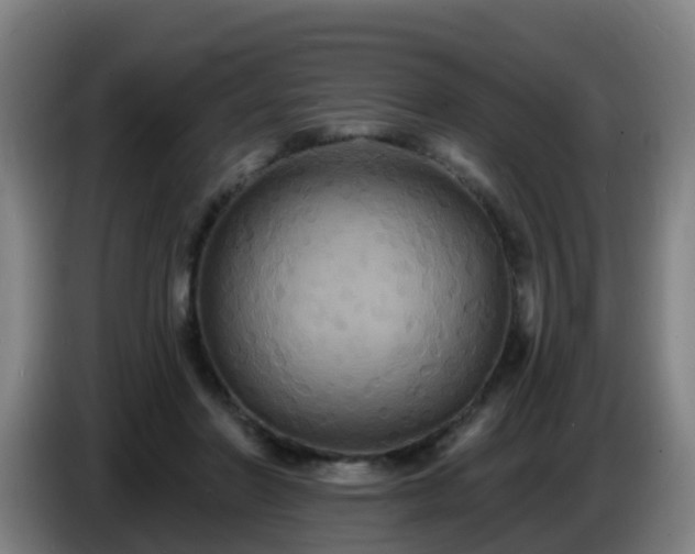 X0000086730406200704201650