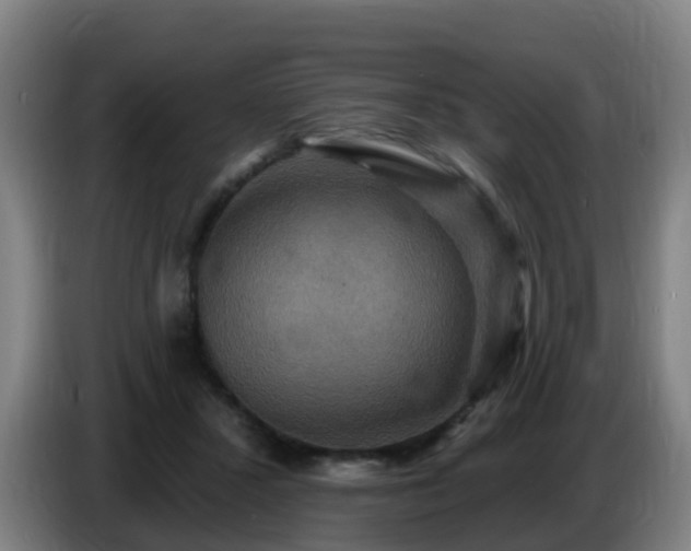 X0000086730407200704201650