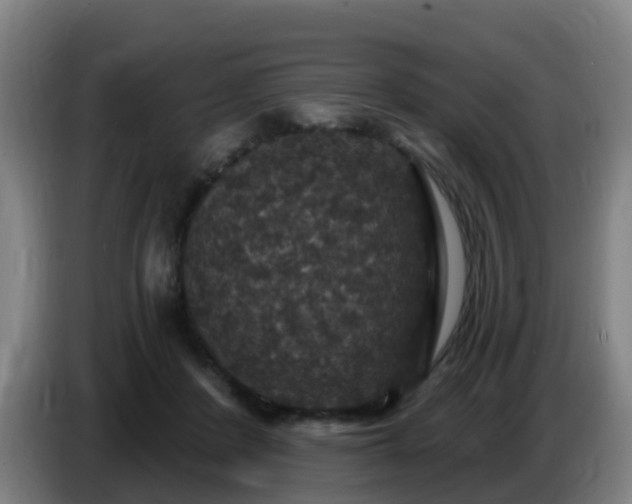 X0000086730408200704201650