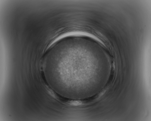 X0000086730409200704201650