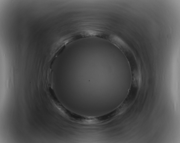 X0000086730410200704201650