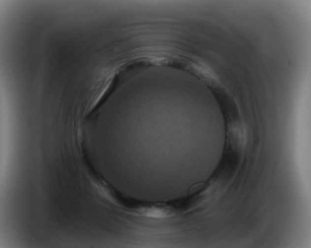 X0000086730412200704201650